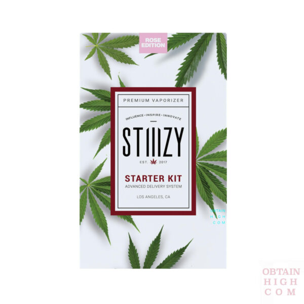 Pink Stiiizy Battery Starter Kit 5