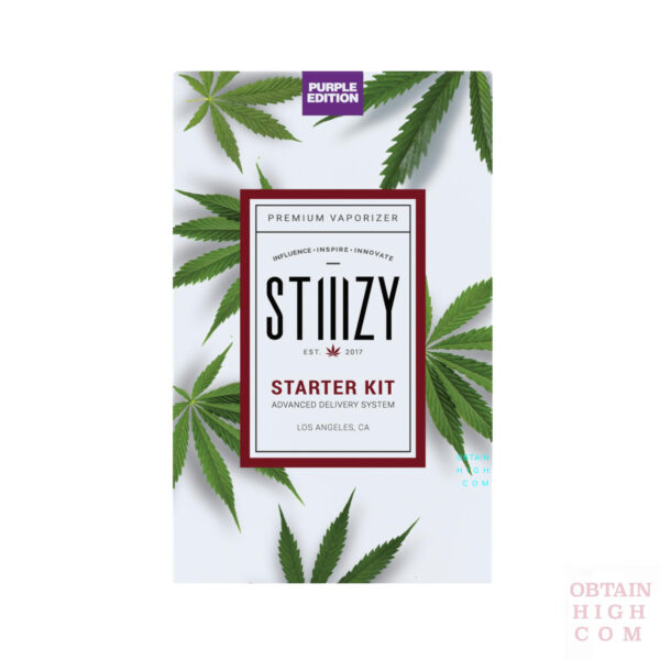 Purple Stiiizy Battery Starter Kit 6