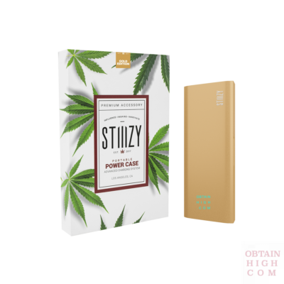 Gold Stiiizy Portable Power Case