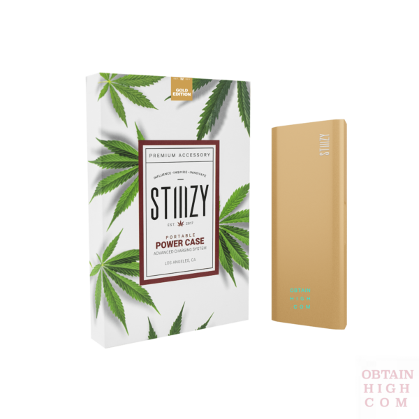 Gold Stiiizy Portable Power Case