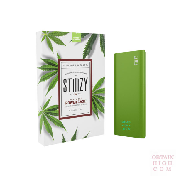 Green Stiiizy Portable Power Case