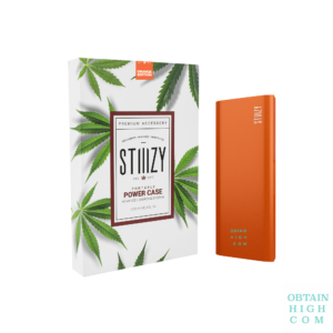 Orange Stiiizy Portable Power Case