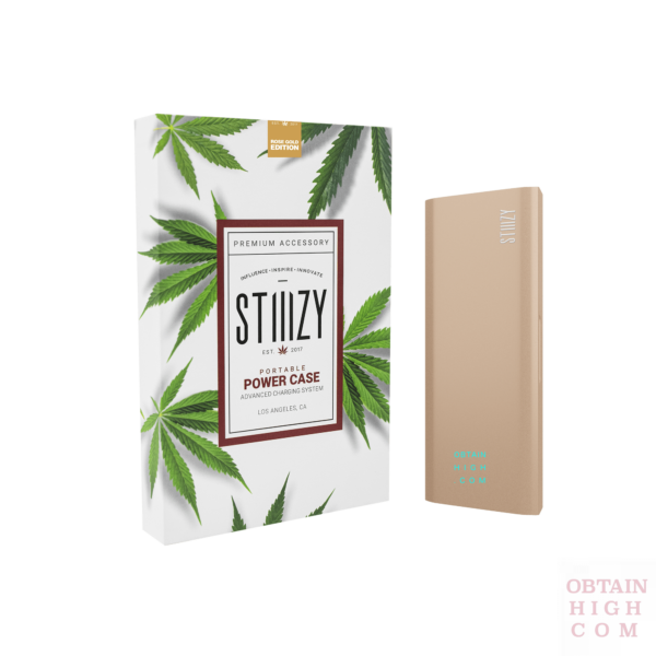 ROSE GOLD Stiiizy Portable Power Case