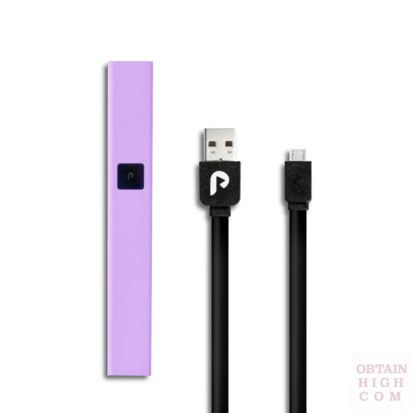 Lavender PLAY Battery Kit PLUGPlay 5