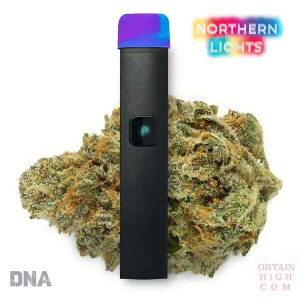 PLUGPlay JUSTplay™ Northern Lights All-In-One 1 Gram THC Pen