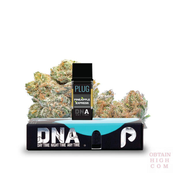 PLUGPlay™️ Pineapple Express DNA 1 Gram PLUG™️ 7