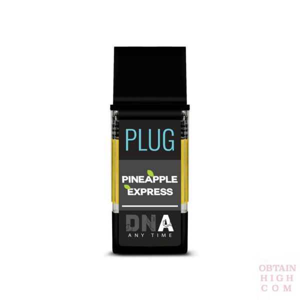 PLUGPlay™️ Pineapple Express DNA 1 Gram PLUG™️ 5