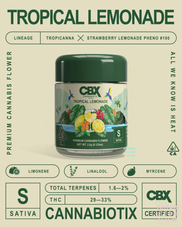 CBX Tropical Lemonade 3.5 Grams Cannabis