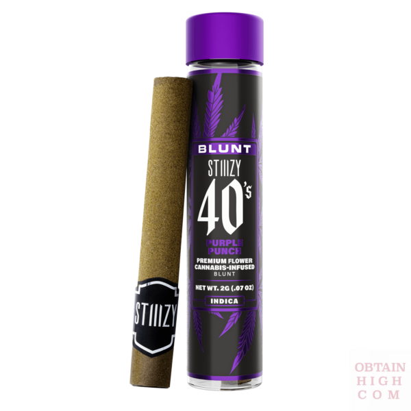 Stiiizy Purple Punch 2 Grams 40s Blunt