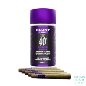 Stiiizy Purple Punch 2.5 Grams 40s Mini Blunt Multi Pack