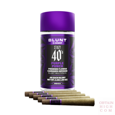 Stiiizy Purple Punch 2.5 Grams 40s Mini Blunt Multi Pack