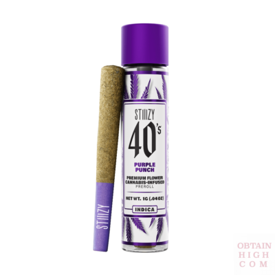 Stiiizy Purple Punch 1 Gram 40s Blunt