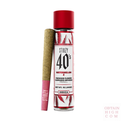 Stiiizy Watermelon Z 1 Gram 40s Blunt