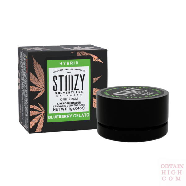 Stiiizy Blueberry Gelato 1 Gram Live Rosin Badder