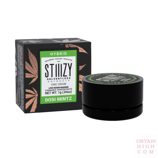 Stiiizy Dosi Mintz 1 Gram Live Rosin Badder