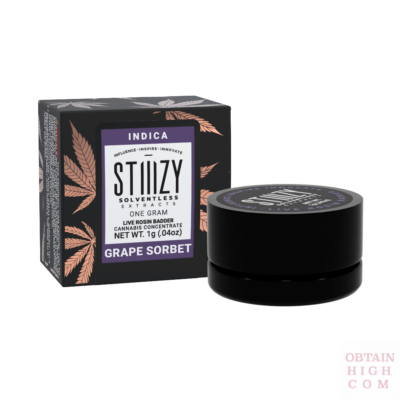 Stiiizy Grape Sorbet 1 Gram Live Rosin Badder