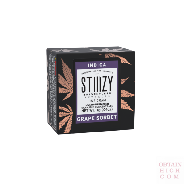 Stiiizy Grape Sorbet 1 Gram Live Rosin Badder 3