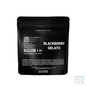 Blackberry Gelato 3.5 Grams by Stiiizy Black Label