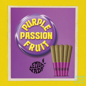 Purple Passionfruit Infused Cannabis 2.5 Grams Pre-Rolls by Lemonnade