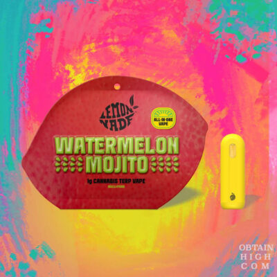 Watermelon Mojito 1 Gram THC Cannabis Terpenes All-In-One by Lemonnade