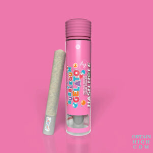 Bubblegum Gelato Hash Hole Preroll 1.8 Grams by Traditional