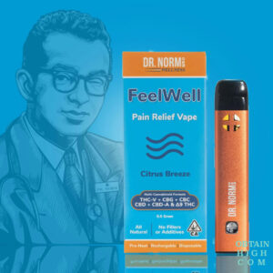 Feel Well Pain Relief Vape by Dr. Norm’s