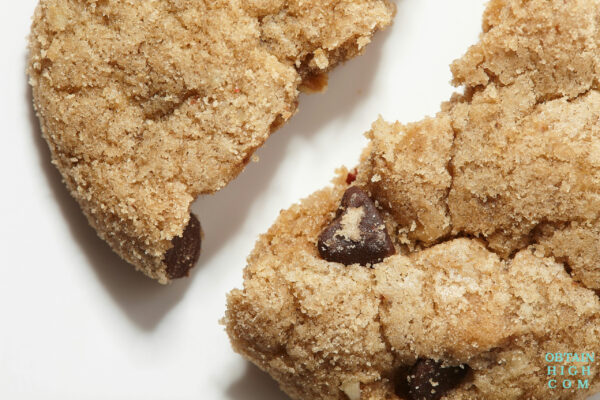 Chocolate Chip Cookies FOCUS + WELLNESS | 1:1 | by Dr. Norms