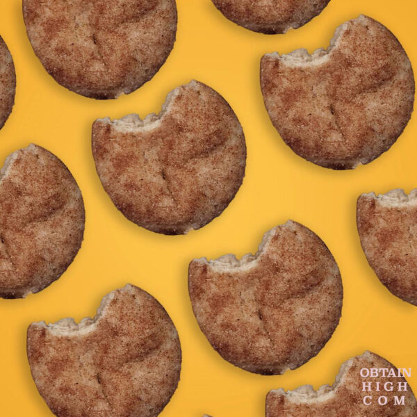 Snickerdoodle MAX Cookies by Dr. Norms