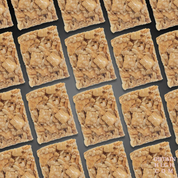 Cinnamon Rice Bar by Dr. Norms 3